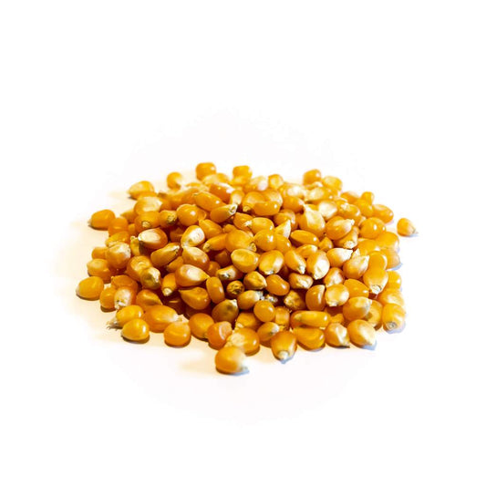 Maíz Curagua